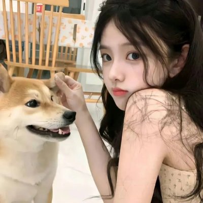 猪妖传封面
